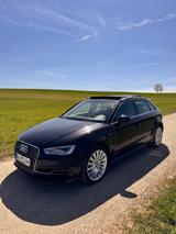 Audi A3 1.4 TFSI e-tron S tronic 8-Fach Pano  - Audi A3: 8pa