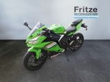 Kawasaki Ninja ZX-4RR  - Offers matching your search criteria