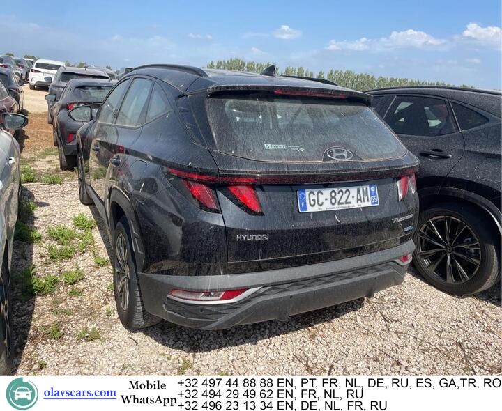 Hyundai Tucson 1.6 CRDI 48V Aut. Navi Camera Klima PDC imagem 3