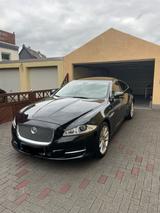 Jaguar XJ Luxury 3.0 V6 Diesel S Luxury - gebrauchte Jaguar XJ aus dem Jahr 2010