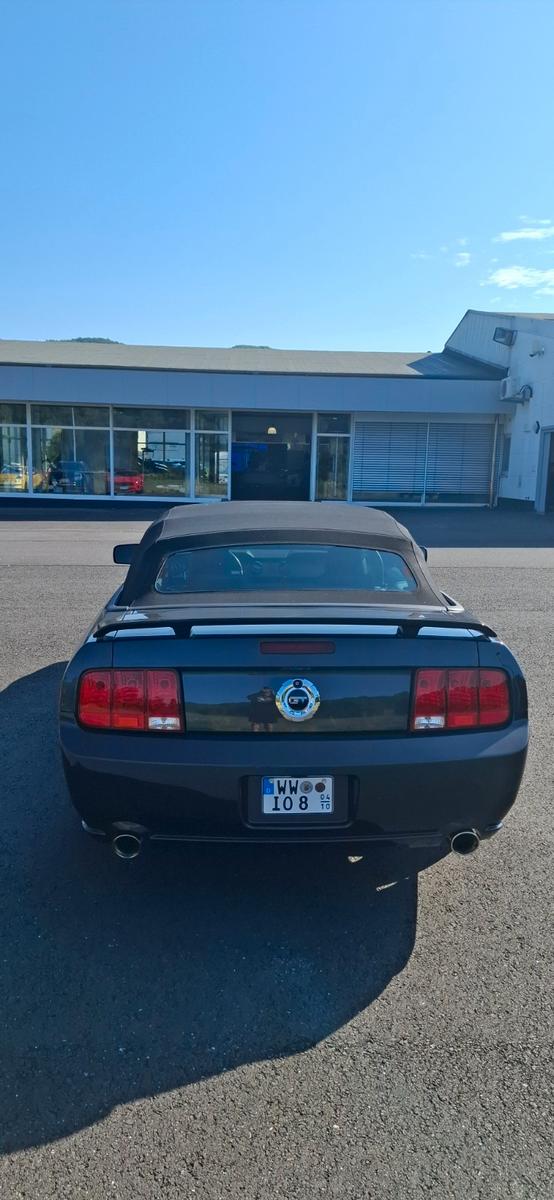 Ford Mustang Cabrio 4,6 Liter V8