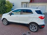 Ford EcoSport 1,0 EcoBoost 92kW Titanium X Titanium X - Ford EcoSport von privat