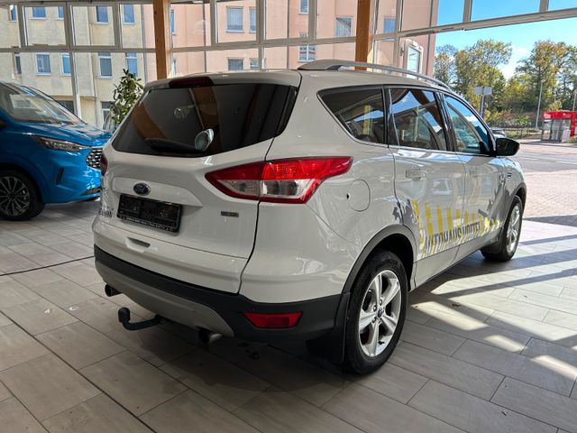 Ford Kuga Trend 1,5l