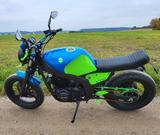 Suzuki GS 500e  Flat-Tracker / Naked Bike - SUZUKI GS 500 F