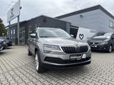 Skoda Karoq 2.0 TDI Style 4x4 DSG*LED*AHK*ACC*DAB - Skoda Karoq in Nürnberg