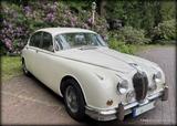Jaguar MK II 3,8l Schaltgetriebe+Overdrive - Jaguar: Mk8