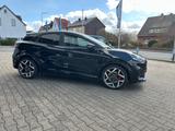Ford PUMA ST X 200PS 1. Hand Checkheft Performance-Pa - Ford: St200