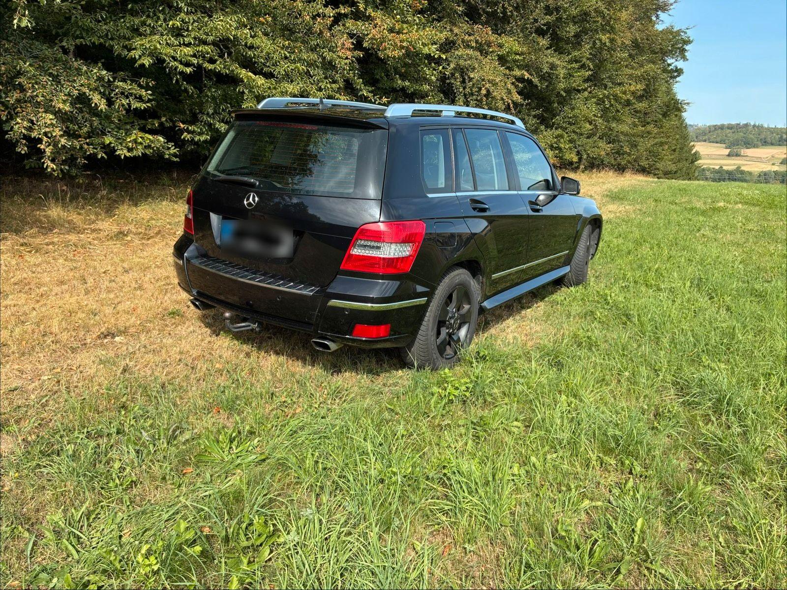 Mercedes-Benz GLK350 2009 — rear view