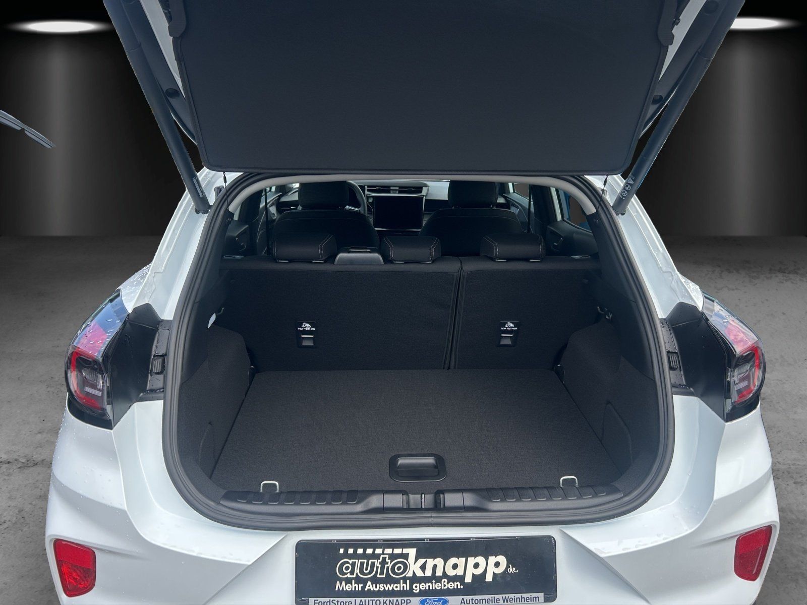 Fahrzeugabbildung Ford Puma 1,0 Ecoboost Titanium