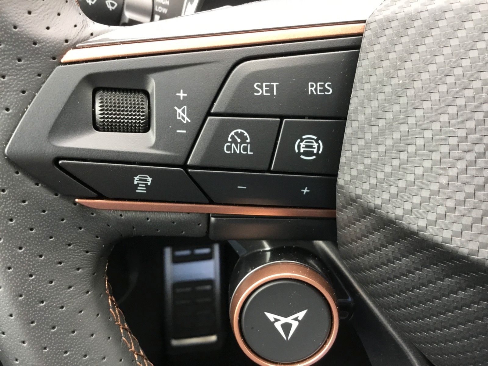 Fahrzeugabbildung CUPRA Terramar 2.0 TSI DSG 4Drive+Matrix+AHK+Pano+360°