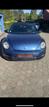 Andere VW beetl Cabrio - Andere mit Benzin-Antrieb: Cabrio