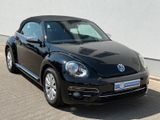 Volkswagen Beetle Cabriolet 2,0 TDI Design  Navi Sitzh. - Volkswagen Beetle: TDI
