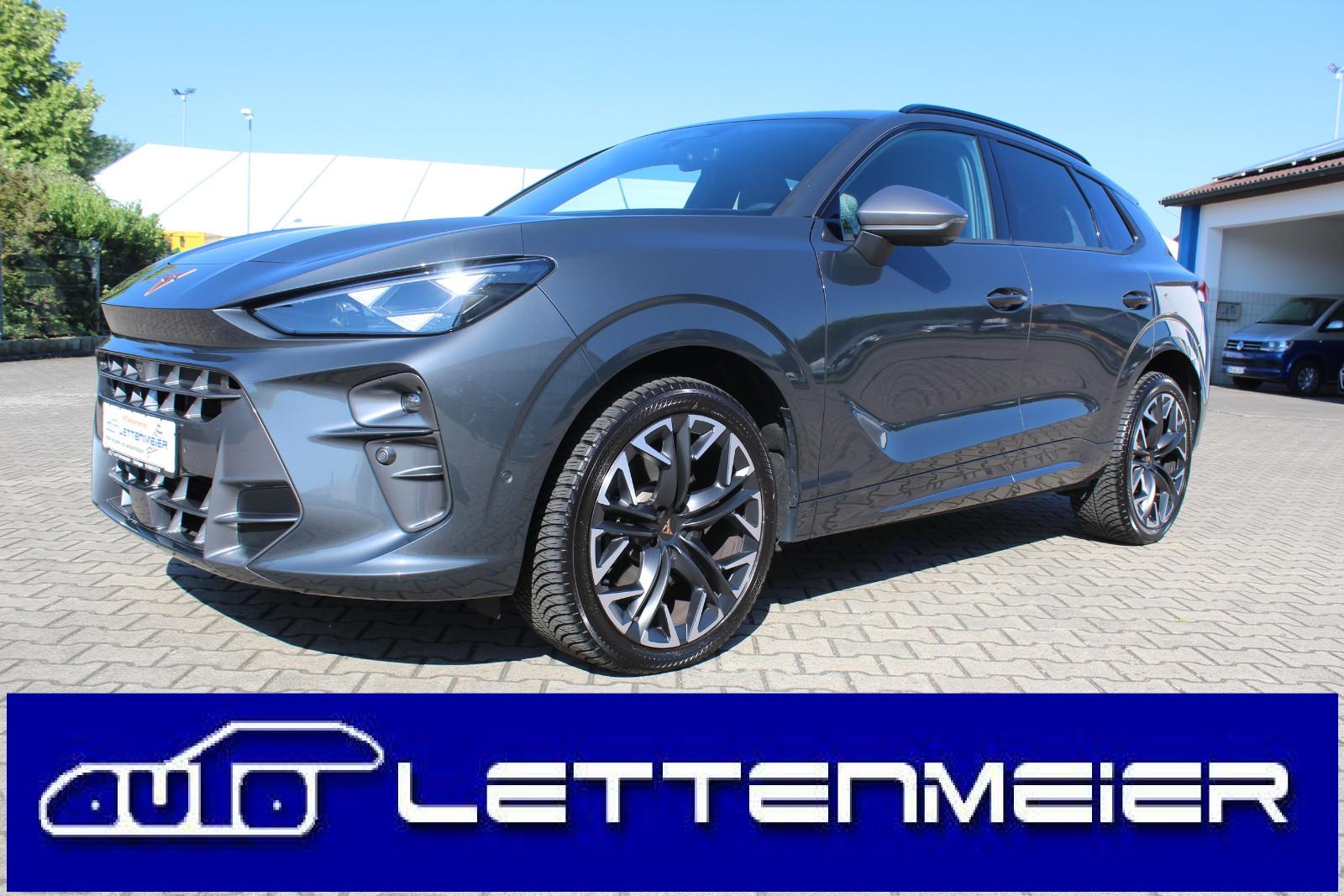Cupra Terramar 2.0 TSI DSG 4Drive 265PS 5JGAR AHK PANO