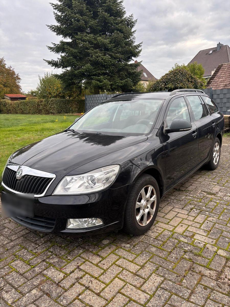 Skoda Octavia 2011 — вигляд ззаду
