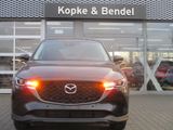 Mazda CX-5 ADVANTAGE 165PS *360°*AUTOMATIK*AWD* 6J.GAR - Mazda CX-5 mit Benzin-Antrieb: Geländewagen