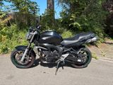 Yamaha FZ6 N RJ07 - Full Black - Leovince Sportauspuff  - YAMAHA FZ6