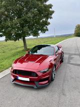 Ford Mustang GT 5.0 Shelby GT350 Style - Ford Mustang: 350gt