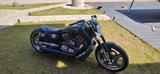 Harley-Davidson V rod musscle - Offers