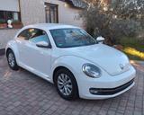 Volkswagen Beetle 1.2 TSI Design Design - Volkswagen Beetle in Bonn