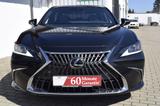 Lexus ES 300h Executive Line LED Leder ACC SHZ+Lüftung - Lexus ES-Serie Gebrauchtwagen