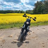 Harley-Davidson Dyna Street Bob FXDB 103 CUI - HARLEY-DAVIDSON STREET BOB