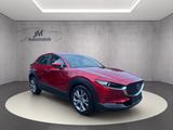 Mazda CX-30 Selection AWD LED - gebrauchte Mazda CX-30 aus dem Jahr 2021