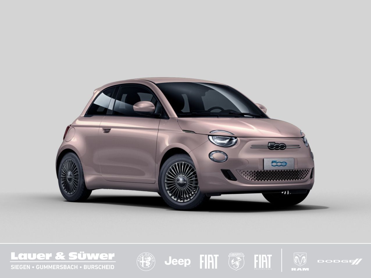 Fiat 500 Icon