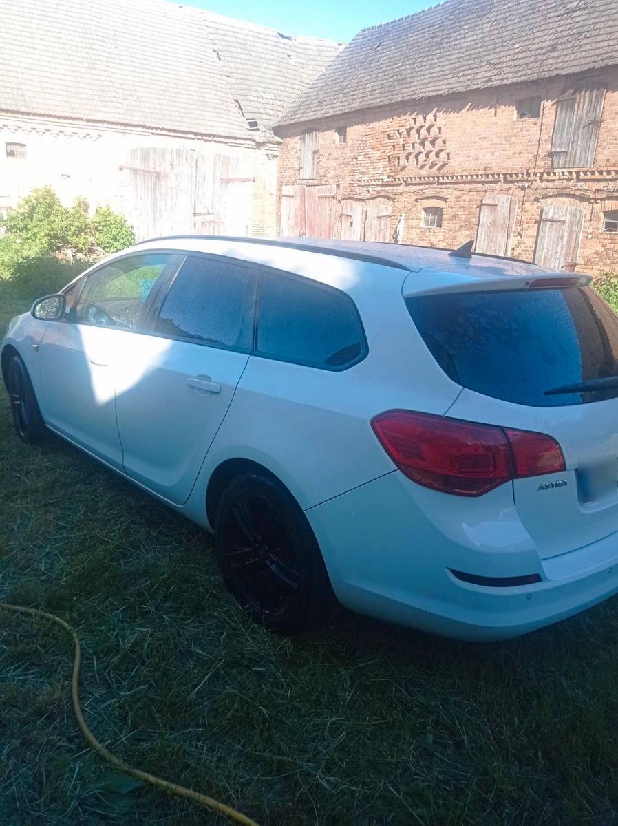 Opel Astra 2011 — вигляд ззаду