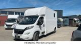Opel Movano *3-Sitzer* Pferdetransporter - Tier-/Pferdetransport 3 pferde