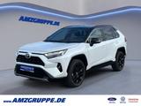 Toyota RAV 4 Hybrid 2Tone+Leder+el.Heckklappe - Toyota RAV 4 Jahreswagen