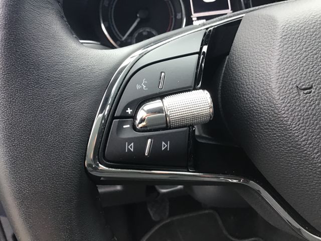 Fahrzeugabbildung Skoda Fabia Selection 1.0 TSI LED/Tempo/SHZ/SmartLink