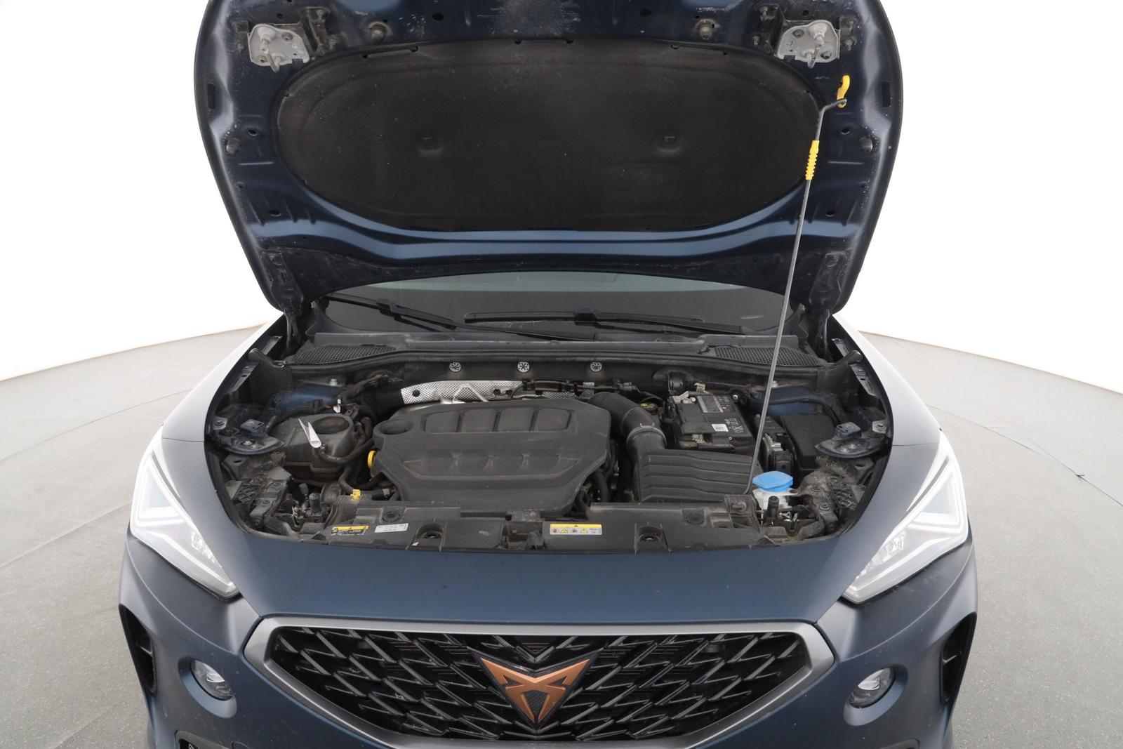 Cupra Formentor VZ 2.0 TSI 4Drive DSG PANO NAVI, миниатюра 9