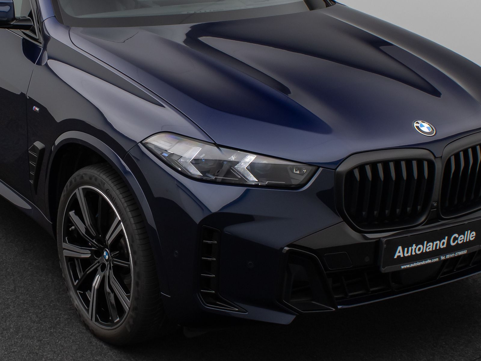 Fahrzeugabbildung BMW X5 xD30d M Sport Pro Panoram 360°HUD DAB H/K 22"