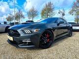 Ford Mustang 5.0 GT Performance / 441PS / Brachial - Ford Mustang: 5.0