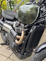 Triumph Scrambler 900 CHROME EDITION BROOKLANDS GREEN - Offers matching your search criteria