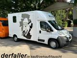 Peugeot Boxer Theault 1-2 Pferde - Gebraucht Tier-/Pferdetransport 2 pferde