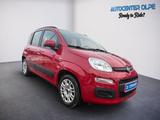 Fiat Panda ** 1.Hand-TÜV 07.2027-Klima** - Fiat Panda: Rot