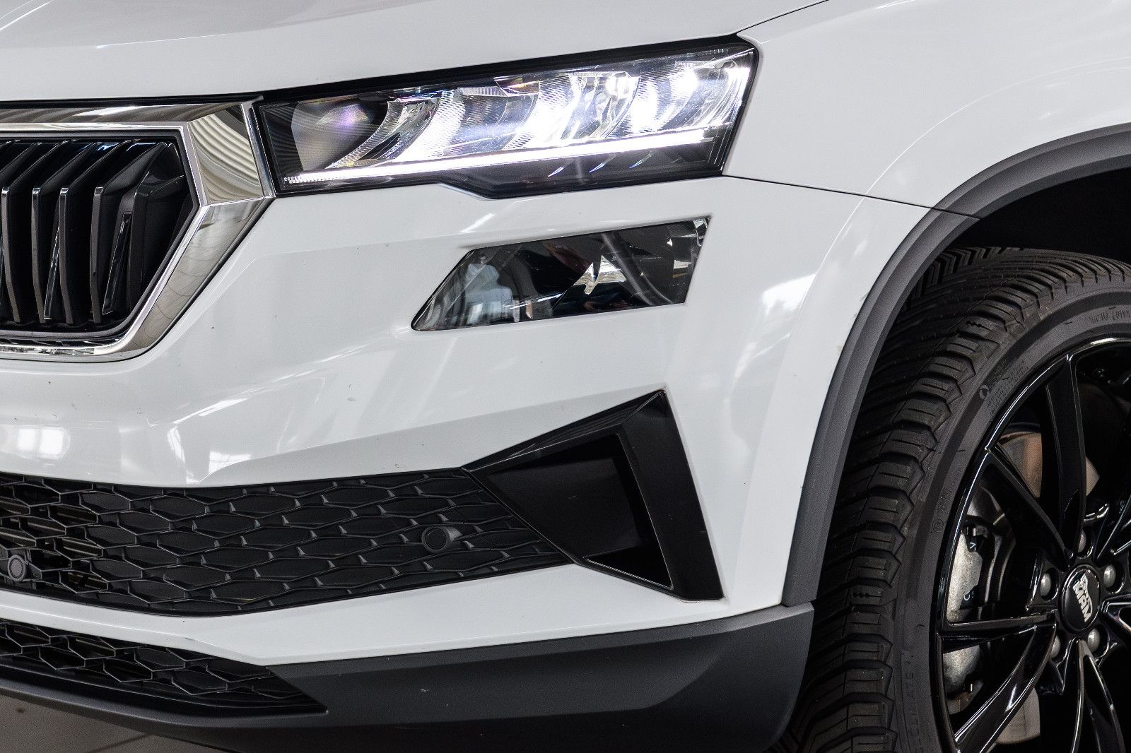Fahrzeugabbildung SKODA Karoq Ambition 1.5 TSI DSG LED+ACC+KAM