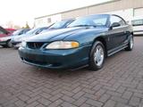Ford Mustang IV SN95 3,8 V6 Aut. " SVT COB... - Ford Mustang: Svt