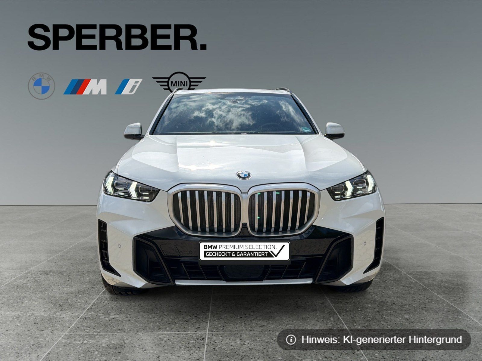 BMW X5 - Bild 8