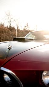 Ford Mustang SUPERCOBRAJET  - gebrauchte Ford Mustang aus dem Jahr 1969