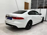 Jaguar XF 3.0 D V6 Sport NAVI/MERIDIAN/XEN/KAM/SHZ/LMF - Jaguar XF mit Diesel-Antrieb: 3.0