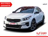 Kia XCeed 1.6 T-GDI Platinum Sitzbelüftung Totwinkel - Kia XCeed Gebrauchtwagen in Dresden