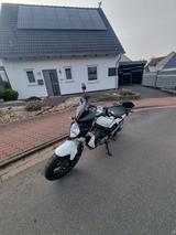 Suzuki Gladius 650 - Angebote