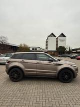 Land Rover SD4 Aut.190 PS.Volleder | Scheckheft, TÜV. Pano