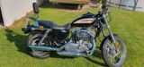 Harley-Davidson Harley Davidson Sportster 883XL - Offers matching your search criteria