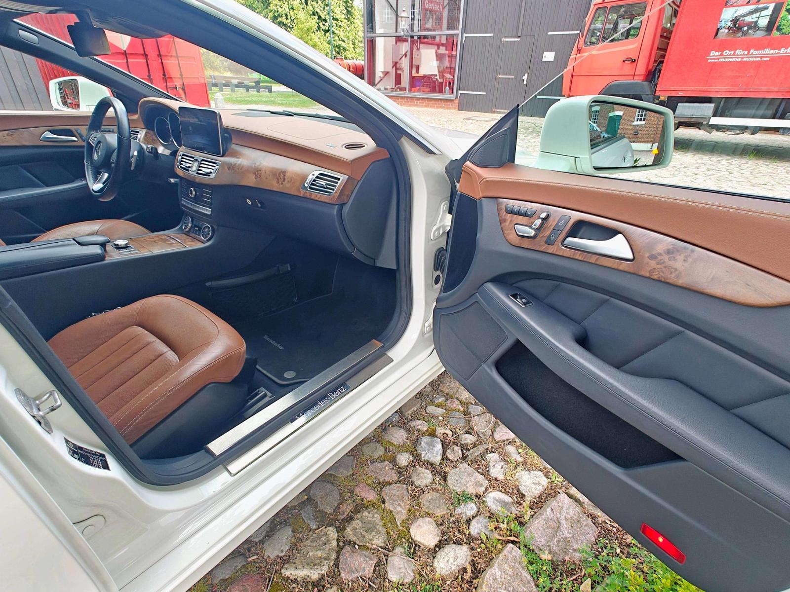 Mercedes-Benz CLS 250 CLS 250 CDI BlueTec MultiBeam /