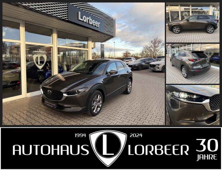 Mazda CX-30 M-HYBRID 150PS SELECTION DES-P NAVI MATRIX