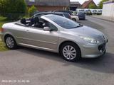 Peugeot 307 Sport Cabrio - Klima - Leder -... - Peugeot 307 aus 2009
