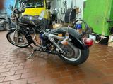 Harley-Davidson Sportster 883 5HD 27.000 KM Motorschaden - Offers